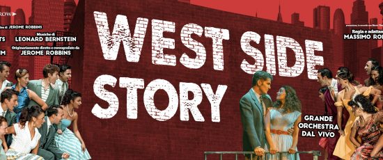 WSS_banner2500x800px_v01